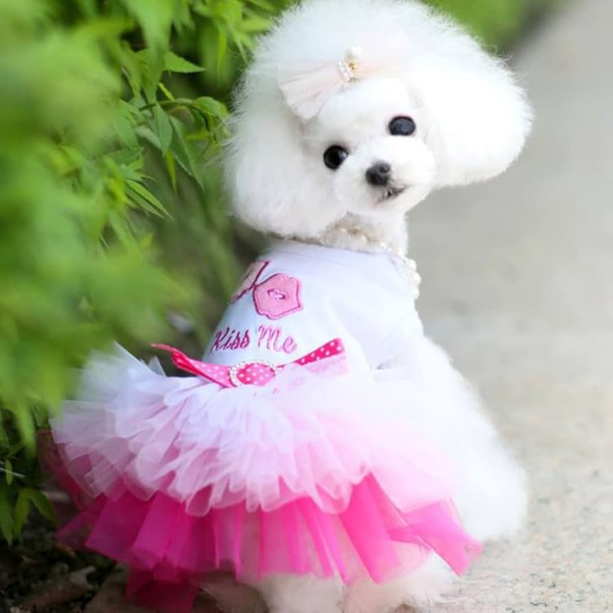 Amazon | ピンクの犬の服小さな犬のための甘いプリンセスドレス
